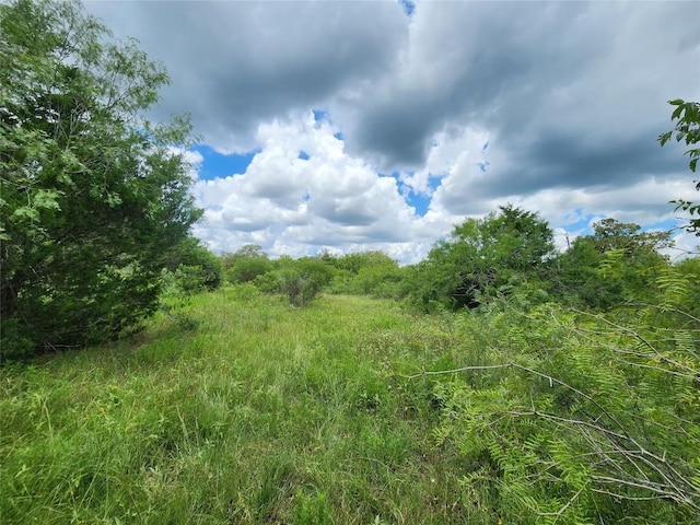 TBD Anchor Ranch Loop, Flatonia, TX 78941 - photo 13