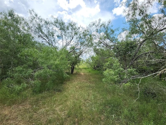 TBD Anchor Ranch Loop, Flatonia, TX 78941 - photo 15