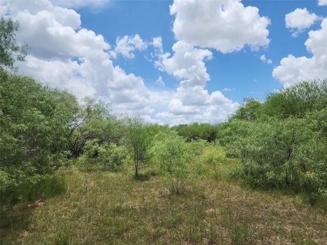 TBD Anchor Ranch Loop, Flatonia, TX 78941 - photo 16