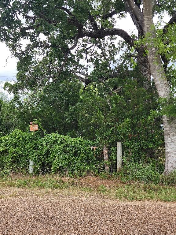 TBD Anchor Ranch Loop, Flatonia, TX 78941 - photo 18