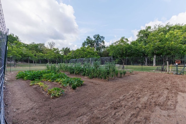 23644 Nameless Rd, Leander, TX 78641 - view of yard with a vegetable garden