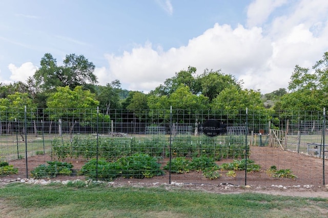 23644 Nameless Rd, Leander, TX 78641 - view of yard featuring a vegetable garden