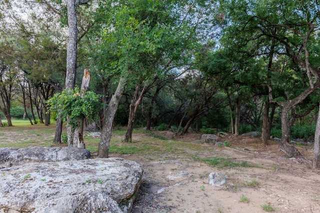 23644 Nameless Rd, Leander, TX 78641 - view of nature