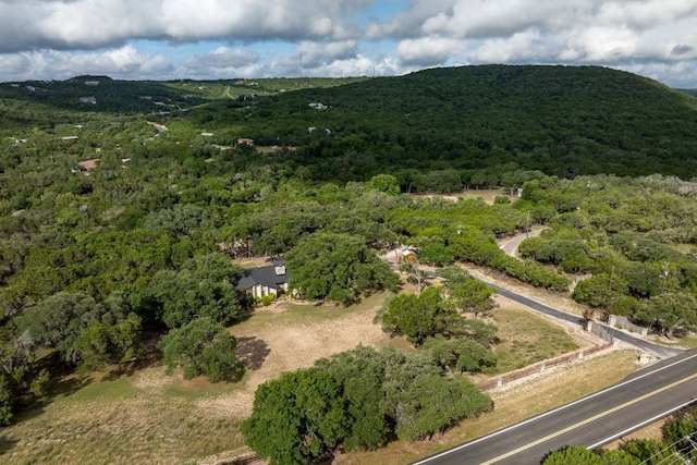 23644 Nameless Rd, Leander, TX 78641 - aerial view of a forest