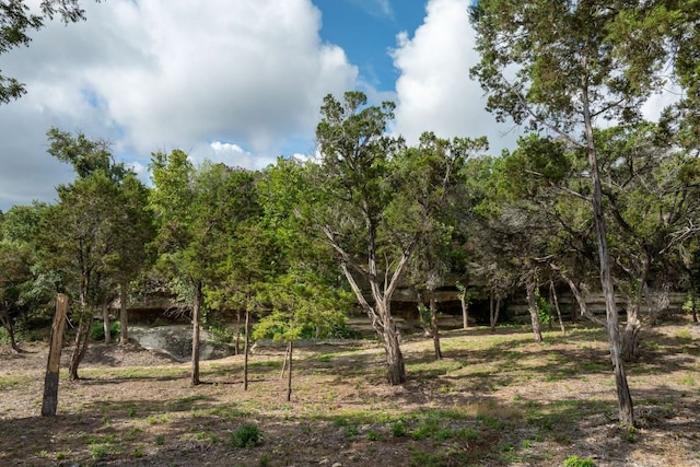 23644 Nameless Rd, Leander, TX 78641 - view of nature