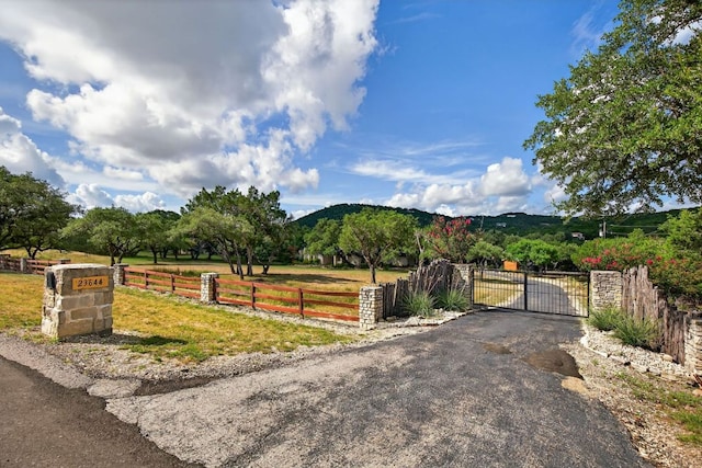 23644 Nameless Rd, Leander, TX 78641 - view of asphalt driveway featuring a gate, a rural view, and a gated entry