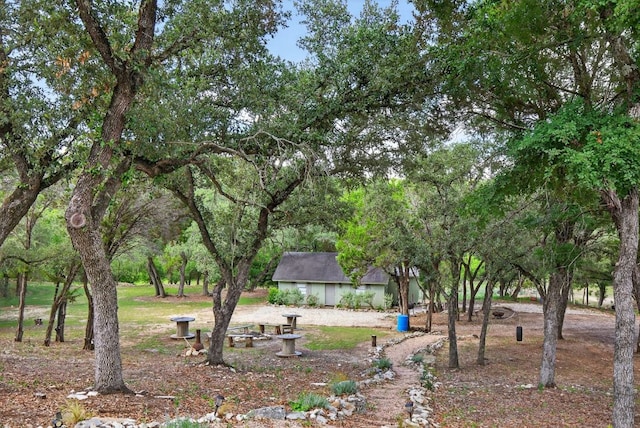 23644 Nameless Rd, Leander, TX 78641 - view of yard