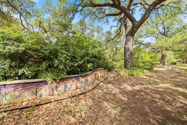 781 Woodland Dr, Driftwood, TX 78619 - photo 29
