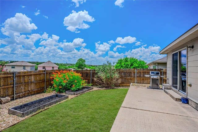 8925 China Rose Dr, Austin, TX 78724 - fenced backyard featuring a vegetable garden and a patio area