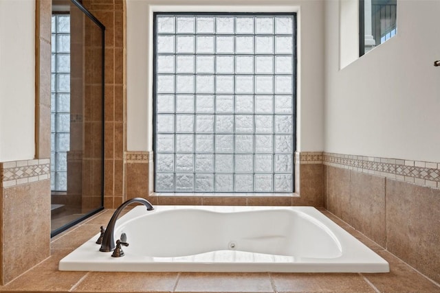 1310 Minnie Dr, Austin, TX 78732 - full bath featuring a jetted tub and healthy amount of natural light