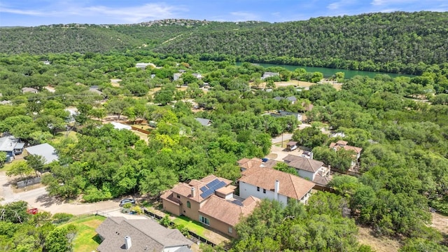 1310 Minnie Dr, Austin, TX 78732 - aerial perspective of suburban area featuring a heavily wooded area and a nearby body of water