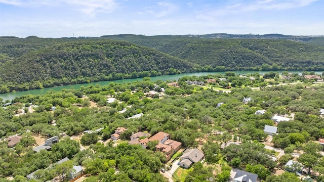 1310 Minnie Dr, Austin, TX 78732 - aerial view of a forest and a large body of water