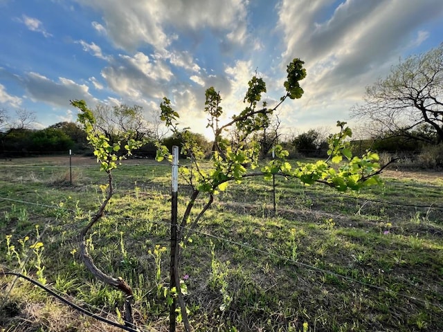 171 County Road 117th Rd, Llano, TX 78643 - photo 26