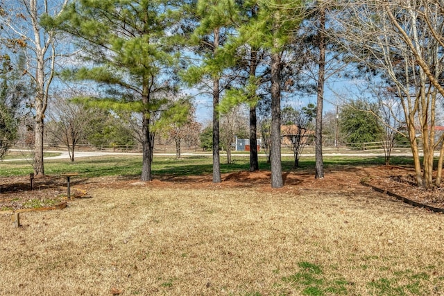128 Bridle Ct, Bastrop, TX 78602 - photo 33