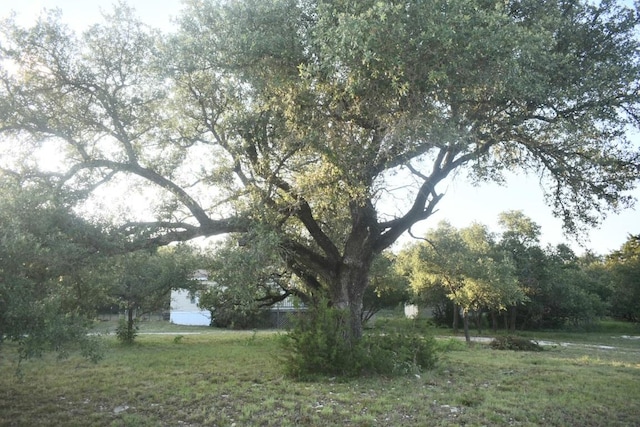 1800 Thousand Oaks Trl, Liberty Hill, TX 78642 - view of yard