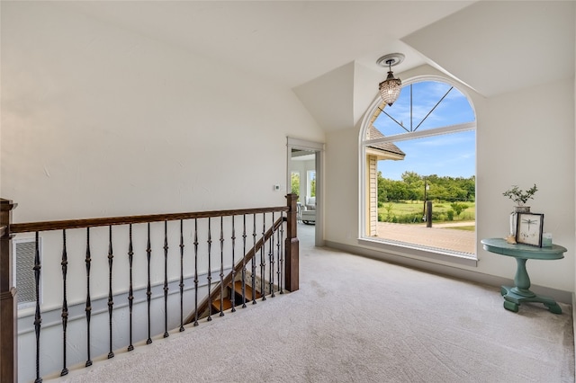 1100 Green Acres Dr, Wimberley, TX 78676 - photo 22