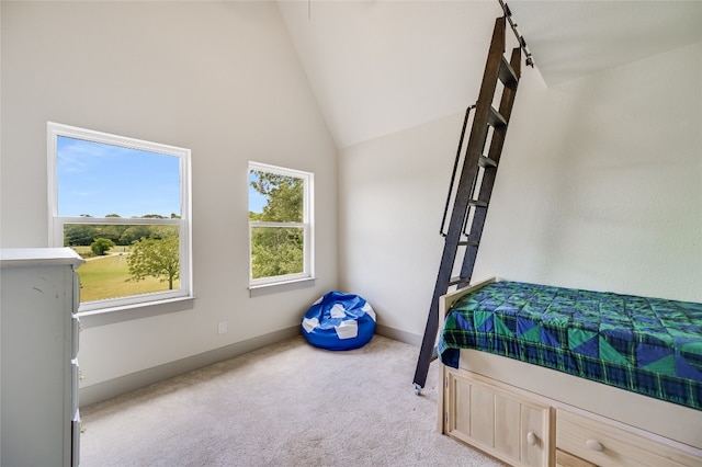 1100 Green Acres Dr, Wimberley, TX 78676 - photo 27
