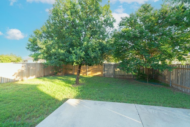 913 Mahomet Dr, Pflugerville, TX 78660 - photo 17