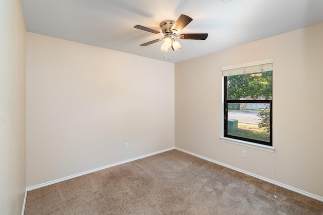 913 Mahomet Dr, Pflugerville, TX 78660 - photo 13