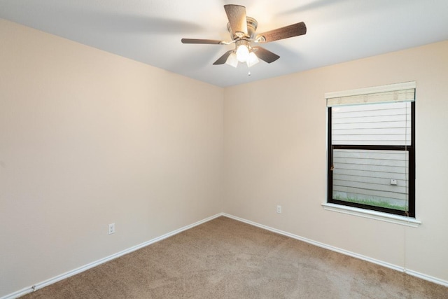 913 Mahomet Dr, Pflugerville, TX 78660 - photo 14