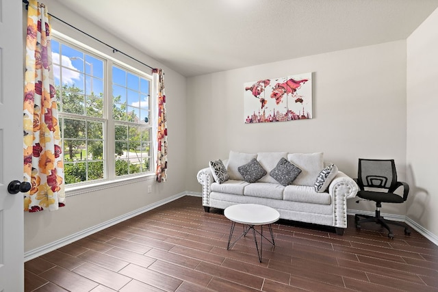2433 Roaring River Trl, Leander, TX 78641 - living room featuring healthy amount of natural light and wood finished floors