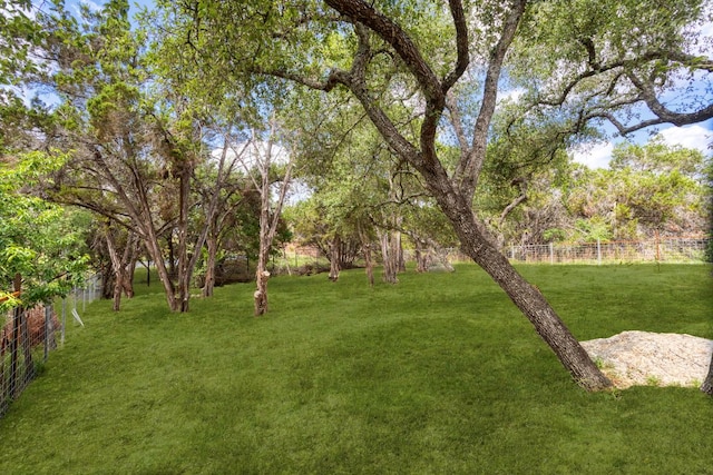 17207 Oak Cliff Cir, Dripping Springs, TX 78620 - photo 21