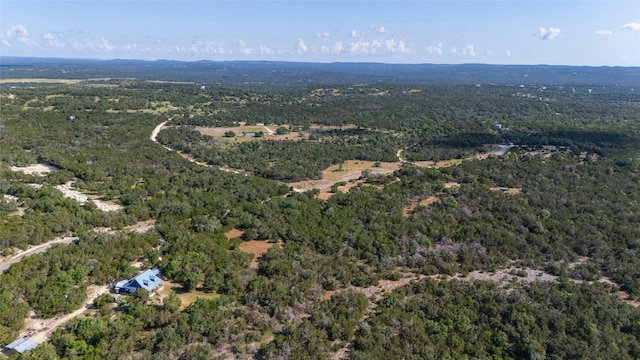 4501 Cottonwood Rd, Wimberley, TX 78676 - photo 8