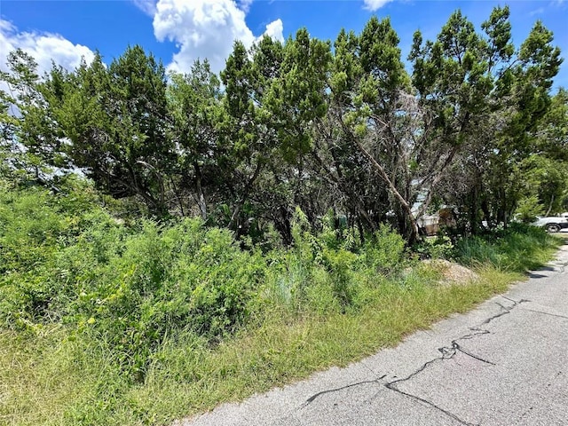 8316 Bronco Ln, Lago Vista, TX 78645 - photo 8