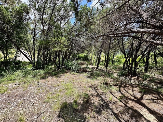 8316 Bronco Ln, Lago Vista, TX 78645 - photo 13