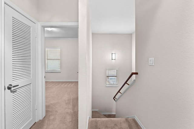 1000 Liberty Park Dr Unit 205, Austin, TX 78746 - photo 20