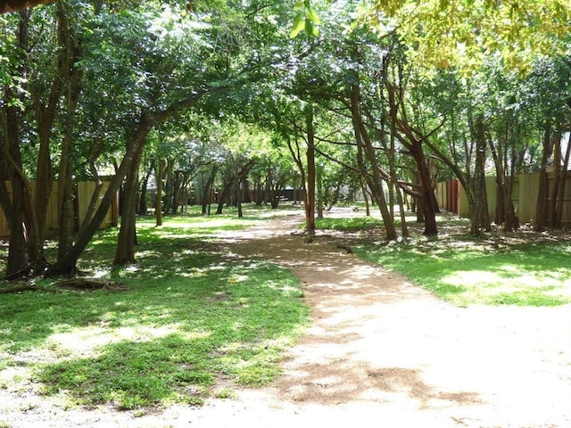 2408 Amur Dr, Austin, TX 78745 - surrounding community