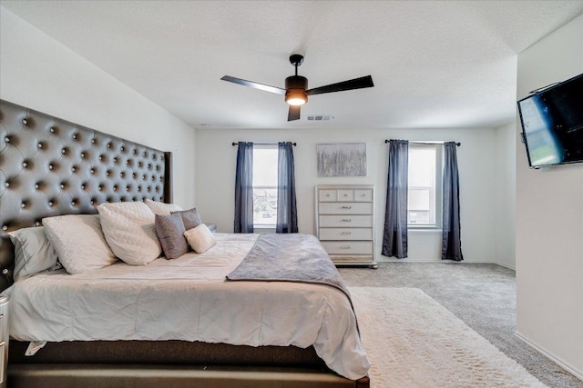 18920 Lady Bird Johnson St, Manor, TX 78653 - photo 13