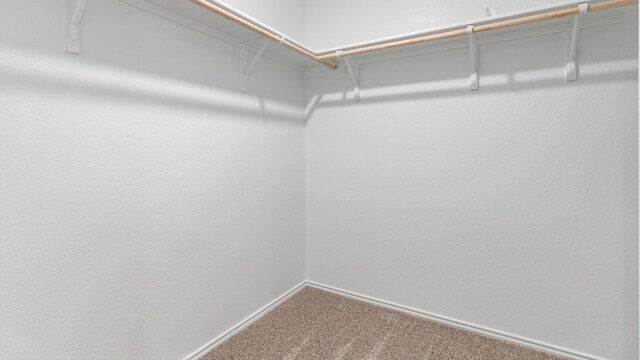 432 Sandringham Loop, Uhland, TX 78640 - photo 25