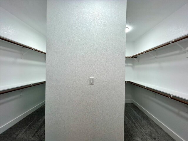 128 Heleakala Dr, Bastrop, TX 78602 - spacious closet with dark colored carpet