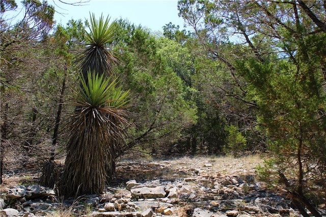 3731 Summit Hurst Dr, New Braunfels, TX 78132