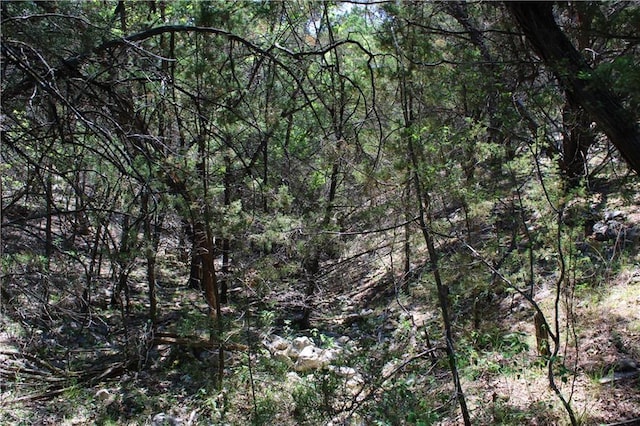 3731 Summit Hurst Dr, New Braunfels, TX 78132