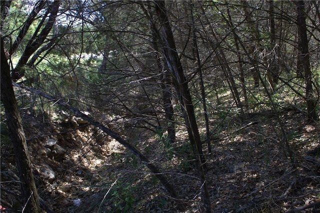 3731 Summit Hurst Dr, New Braunfels, TX 78132