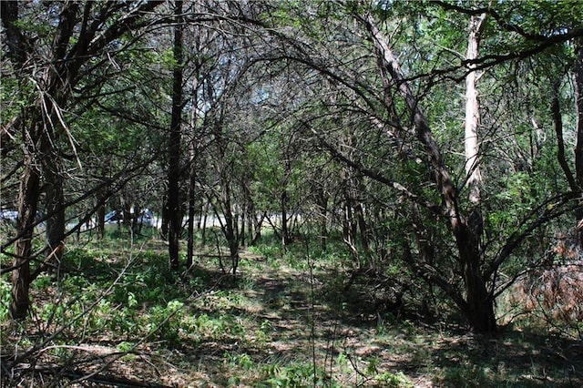 3731 Summit Hurst Dr, New Braunfels, TX 78132