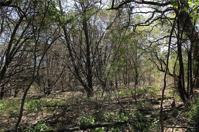 3731 Summit Hurst Dr, New Braunfels, TX 78132