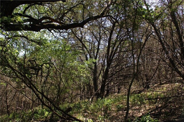 3731 Summit Hurst Dr, New Braunfels, TX 78132
