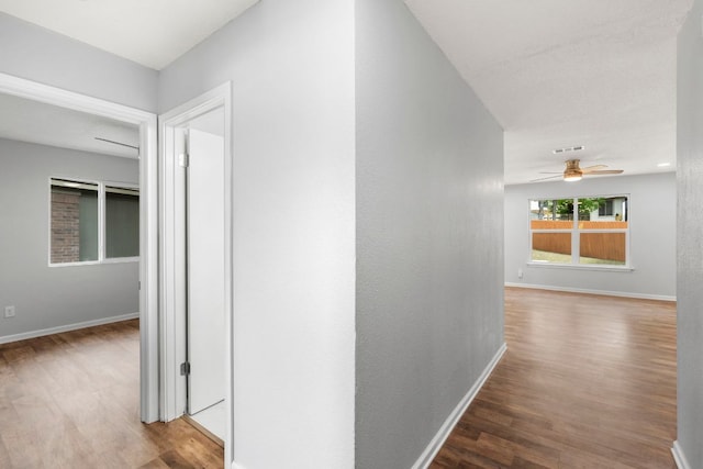 5400 Blackjack Cv, Austin, TX 78744 - photo 4