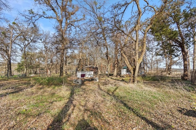 1295 Berry L Ln, Georgetown, TX 78626 - view of yard