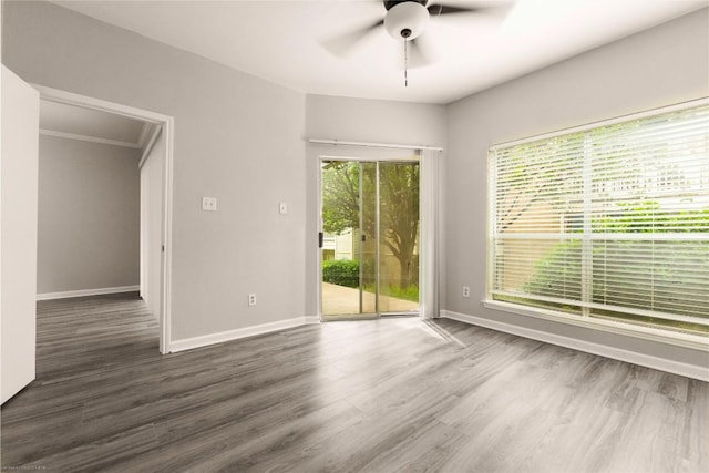 2450 Wickersham Ln Unit 1001, Austin, TX 78741 - unfurnished room featuring ceiling fan and wood finished floors