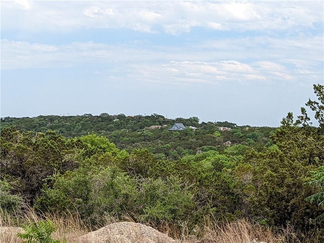 19712 Tyler Trl, Lago Vista, TX 78645 - photo 2