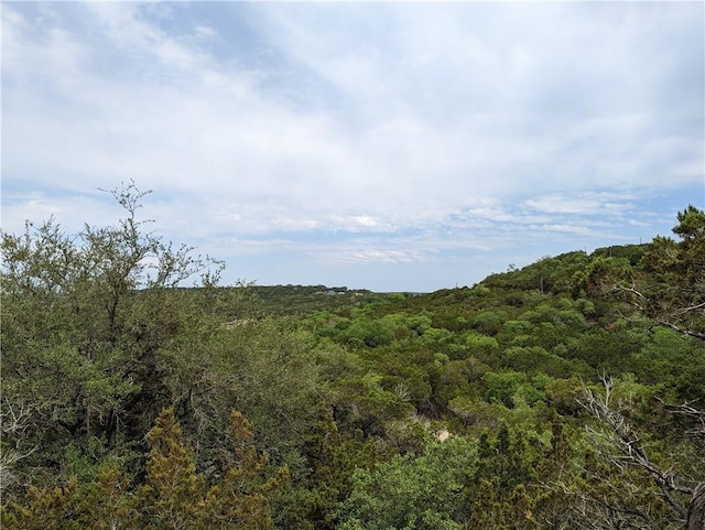 19712 Tyler Trl, Lago Vista, TX 78645 - photo 3