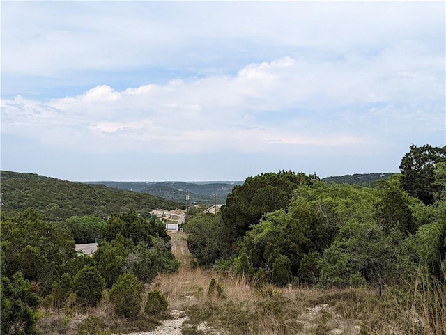 19712 Tyler Trl, Lago Vista, TX 78645 - photo 4