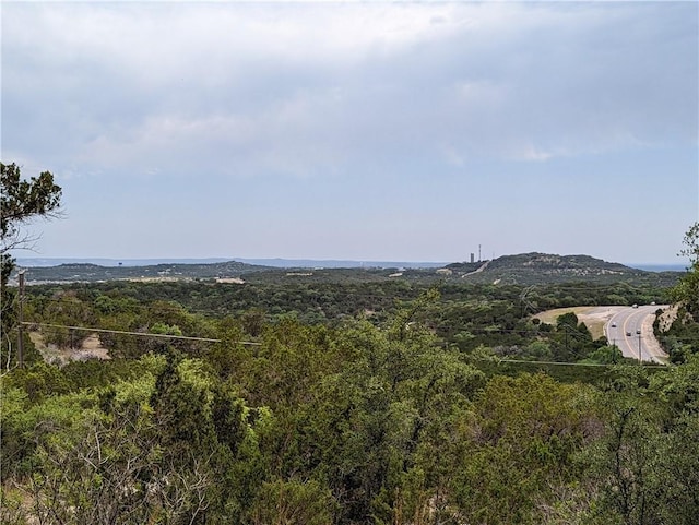 19712 Tyler Trl, Lago Vista, TX 78645 - photo 5