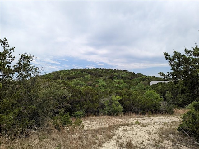 19712 Tyler Trl, Lago Vista, TX 78645 - photo 8
