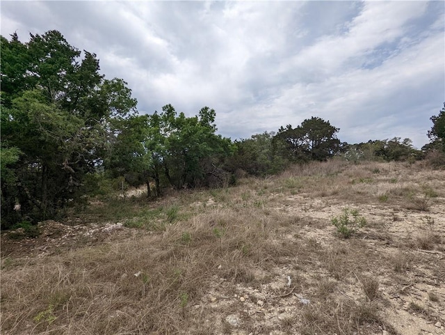 19712 Tyler Trl, Lago Vista, TX 78645 - photo 10