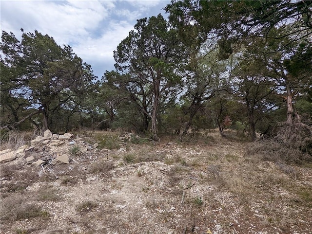 19712 Tyler Trl, Lago Vista, TX 78645 - photo 16